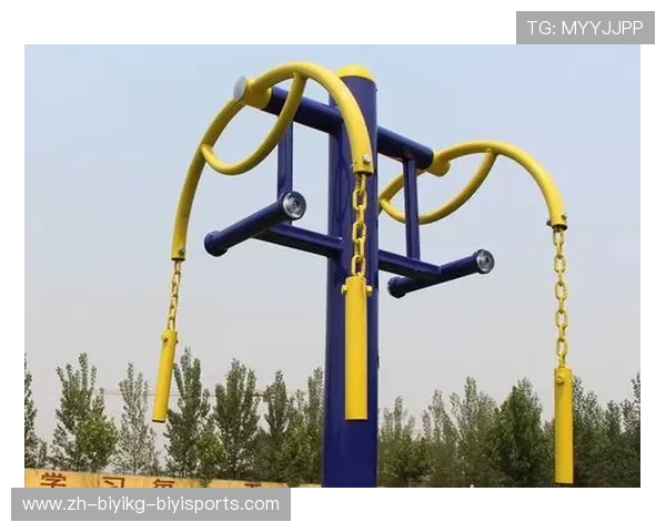 手臂康复适用健身器材，体育医疗结合实践案例